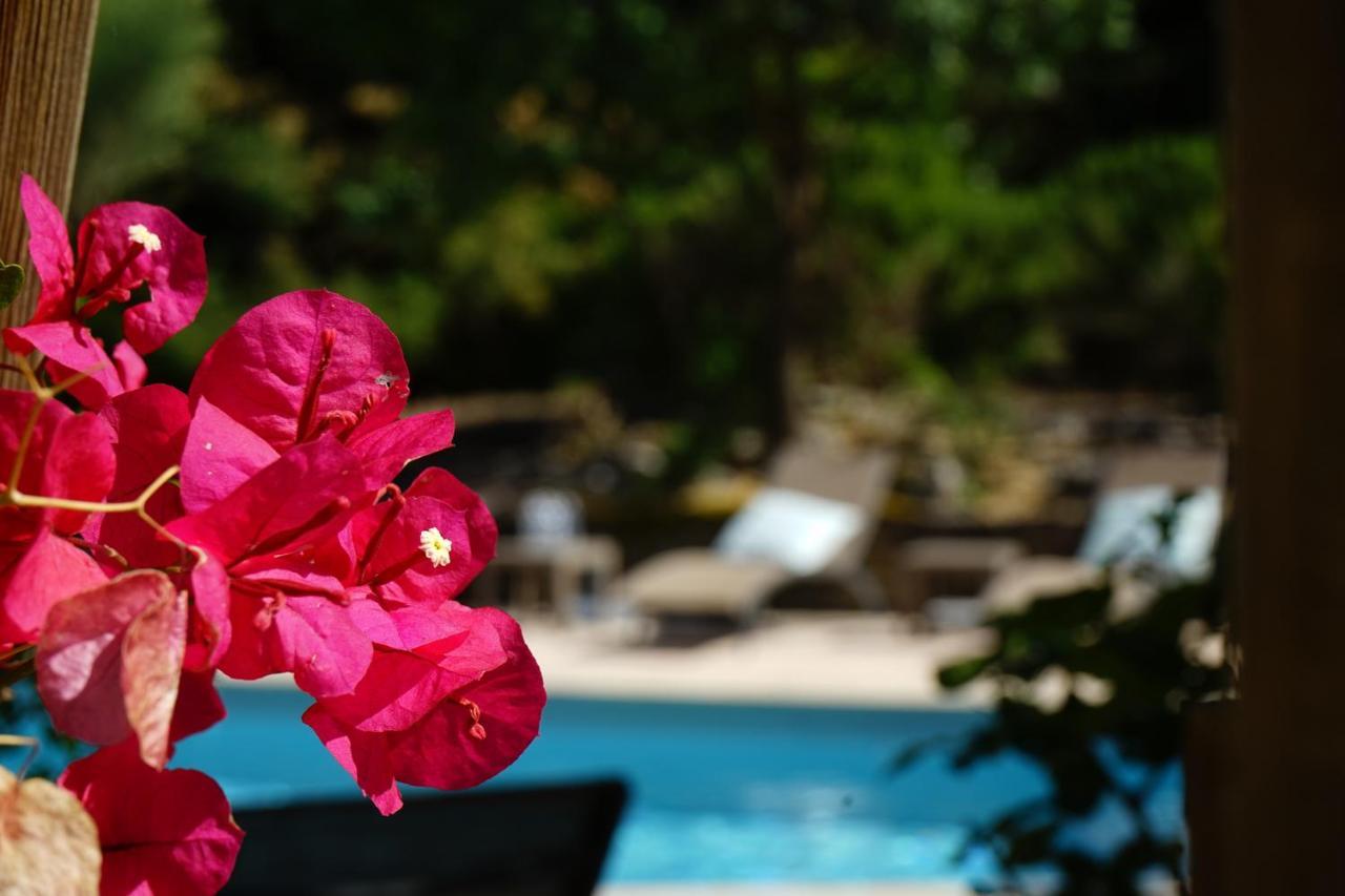 Logis Hotel Le Blason De Provence Monteux Exterior foto